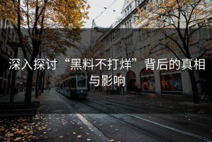 深入探讨“黑料不打烊”背后的真相与影响