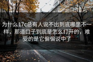 为什么17c总有人说不出到底哪里不一样，那道口子到底是怎么打开的，难受的是它偏偏说中了