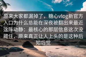 原来大家都漏掉了，糖心vlog新官方入口为什么总能在深夜被翻出来最近这阵动静：最核心的那层信息这次没藏住，原来真正让人上头的是这种后知后觉