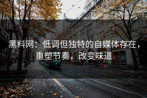 黑料网：低调但独特的自媒体存在，重塑节奏，改变味道