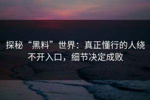 探秘“黑料”世界：真正懂行的人绕不开入口，细节决定成败