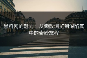 黑料网的魅力：从懒散浏览到深陷其中的奇妙旅程
