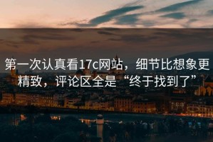 第一次认真看17c网站，细节比想象更精致，评论区全是“终于找到了”