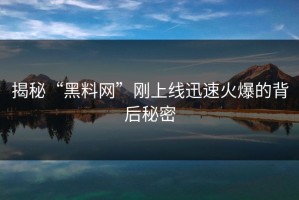 揭秘“黑料网”刚上线迅速火爆的背后秘密