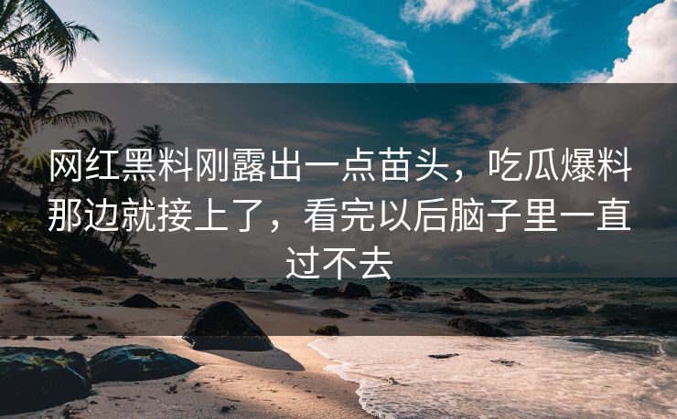 网红黑料刚露出一点苗头,吃瓜爆料那边就接上了,看完以后脑子里一直过不去 网红黑料刚露出一点苗头,吃瓜爆料那边就接上了,看完以后脑子里一直过不去