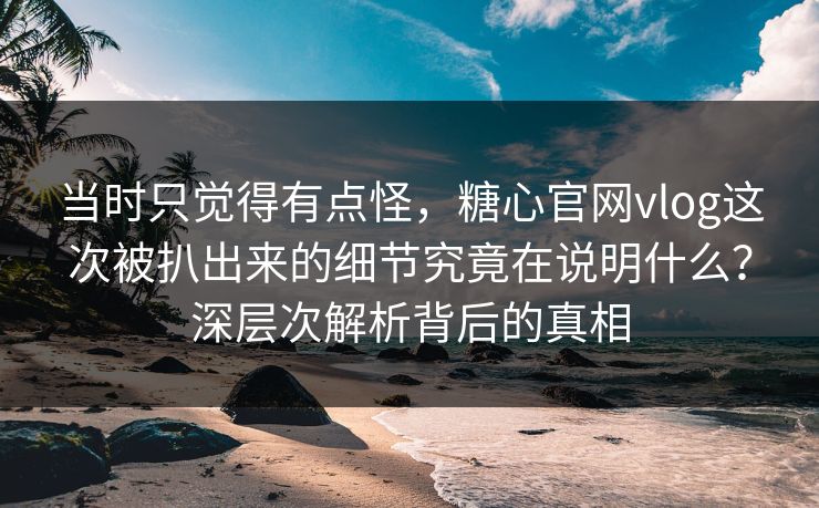 当时只觉得有点怪，糖心官网vlog这次被扒出来的细节究竟在说明什么？深层次解析背后的真相