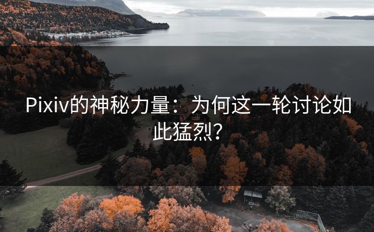 Pixiv的神秘力量：为何这一轮讨论如此猛烈？