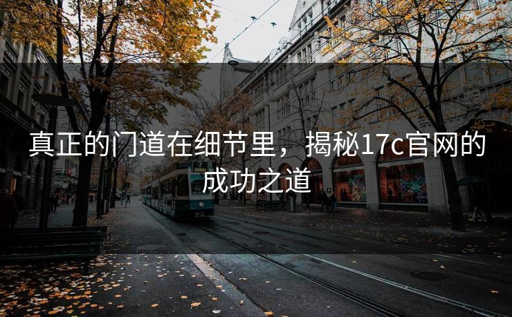 真正的门道在细节里，揭秘17c官网的成功之道