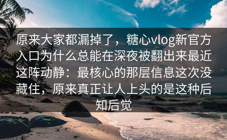 原来大家都漏掉了，糖心vlog新官方入口为什么总能在深夜被翻出来最近这阵动静：最核心的那层信息这次没藏住，原来真正让人上头的是这种后知后觉